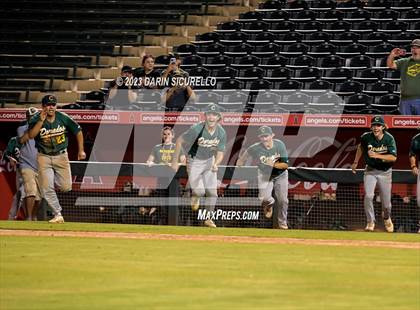 Thumbnail 1 in Saguaro vs. Canyon del Oro (AIA 4A Final)  photogallery.