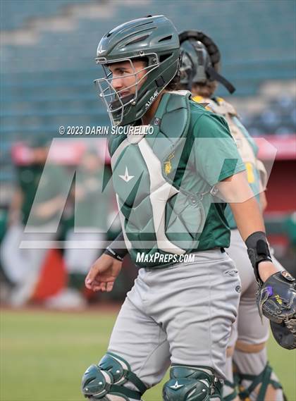 Thumbnail 2 in Saguaro vs. Canyon del Oro (AIA 4A Final)  photogallery.