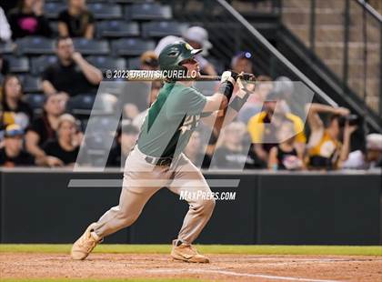 Thumbnail 1 in Saguaro vs. Canyon del Oro (AIA 4A Final)  photogallery.