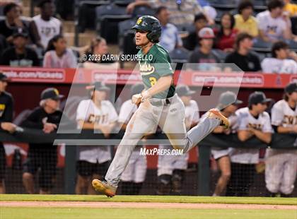 Thumbnail 1 in Saguaro vs. Canyon del Oro (AIA 4A Final)  photogallery.