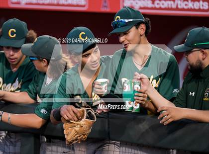 Thumbnail 3 in Saguaro vs. Canyon del Oro (AIA 4A Final)  photogallery.