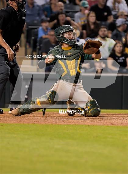 Thumbnail 1 in Saguaro vs. Canyon del Oro (AIA 4A Final)  photogallery.