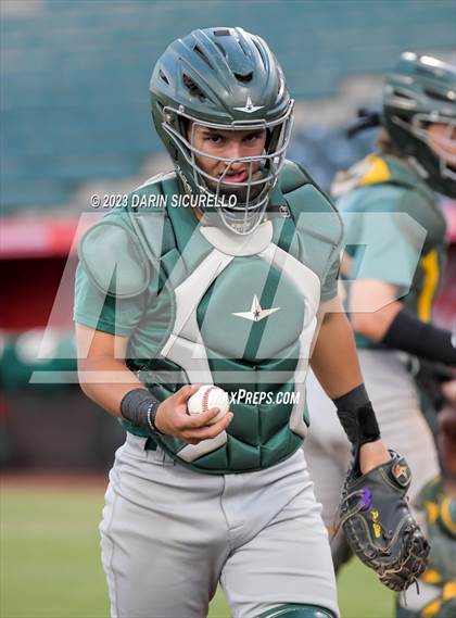Thumbnail 1 in Saguaro vs. Canyon del Oro (AIA 4A Final)  photogallery.
