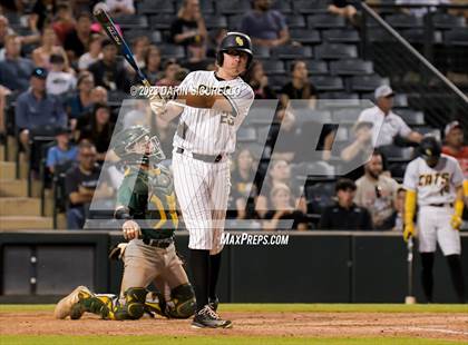 Thumbnail 1 in Saguaro vs. Canyon del Oro (AIA 4A Final)  photogallery.