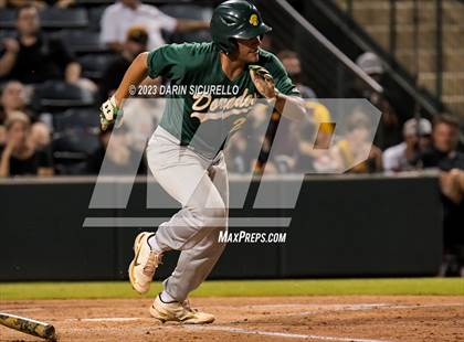 Thumbnail 1 in Saguaro vs. Canyon del Oro (AIA 4A Final)  photogallery.