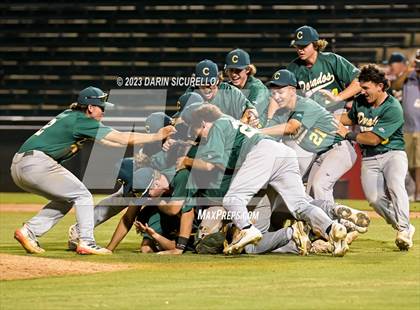 Thumbnail 2 in Saguaro vs. Canyon del Oro (AIA 4A Final)  photogallery.