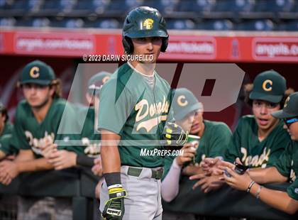 Thumbnail 1 in Saguaro vs. Canyon del Oro (AIA 4A Final)  photogallery.