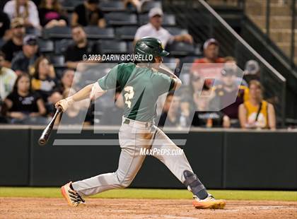 Thumbnail 1 in Saguaro vs. Canyon del Oro (AIA 4A Final)  photogallery.
