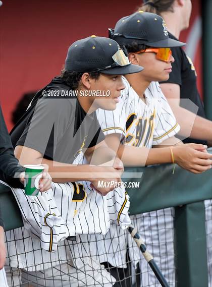 Thumbnail 1 in Saguaro vs. Canyon del Oro (AIA 4A Final)  photogallery.