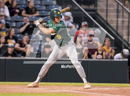 Thumbnail 1 in Saguaro vs. Canyon del Oro (AIA 4A Final)  photogallery.