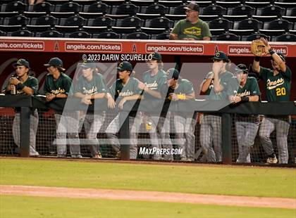 Thumbnail 1 in Saguaro vs. Canyon del Oro (AIA 4A Final)  photogallery.