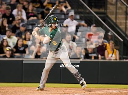 Thumbnail 2 in Saguaro vs. Canyon del Oro (AIA 4A Final)  photogallery.