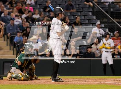 Thumbnail 2 in Saguaro vs. Canyon del Oro (AIA 4A Final)  photogallery.
