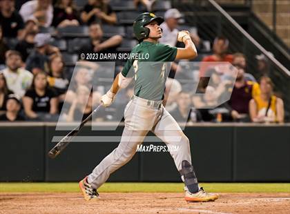 Thumbnail 1 in Saguaro vs. Canyon del Oro (AIA 4A Final)  photogallery.