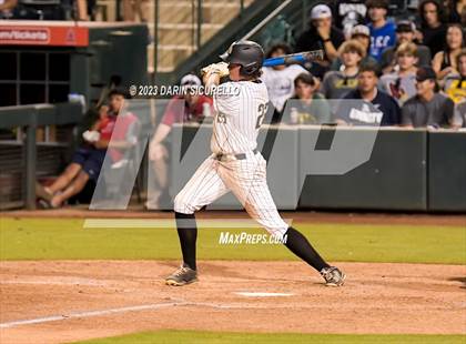 Thumbnail 3 in Saguaro vs. Canyon del Oro (AIA 4A Final)  photogallery.