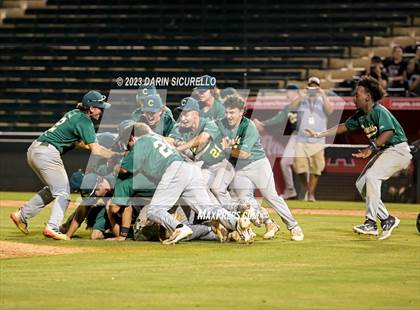 Thumbnail 1 in Saguaro vs. Canyon del Oro (AIA 4A Final)  photogallery.