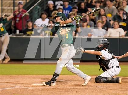 Thumbnail 1 in Saguaro vs. Canyon del Oro (AIA 4A Final)  photogallery.