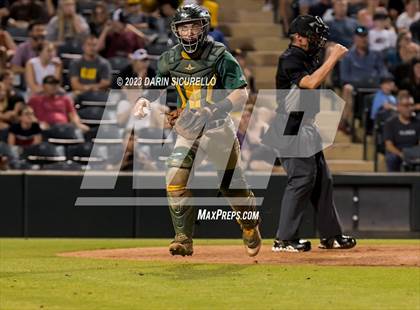 Thumbnail 3 in Saguaro vs. Canyon del Oro (AIA 4A Final)  photogallery.