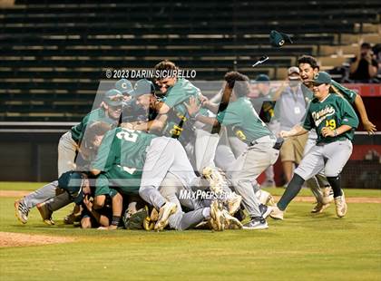 Thumbnail 1 in Saguaro vs. Canyon del Oro (AIA 4A Final)  photogallery.