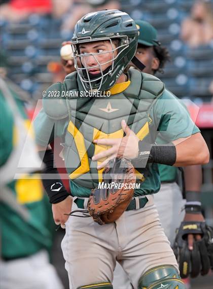 Thumbnail 1 in Saguaro vs. Canyon del Oro (AIA 4A Final)  photogallery.