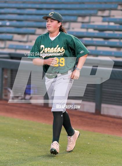 Thumbnail 1 in Saguaro vs. Canyon del Oro (AIA 4A Final)  photogallery.