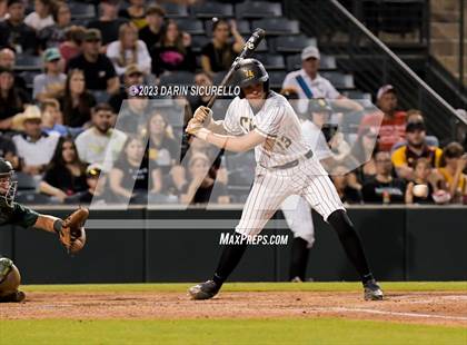 Thumbnail 3 in Saguaro vs. Canyon del Oro (AIA 4A Final)  photogallery.