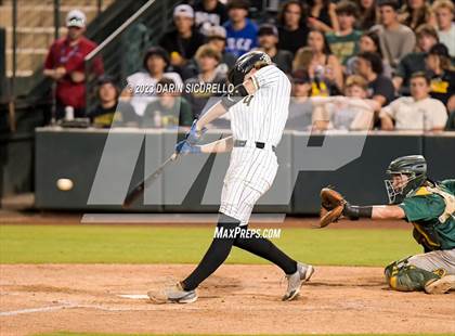 Thumbnail 3 in Saguaro vs. Canyon del Oro (AIA 4A Final)  photogallery.