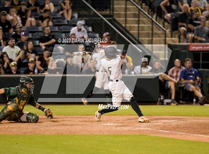 Thumbnail 1 in Saguaro vs. Canyon del Oro (AIA 4A Final)  photogallery.