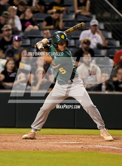 Thumbnail 3 in Saguaro vs. Canyon del Oro (AIA 4A Final)  photogallery.
