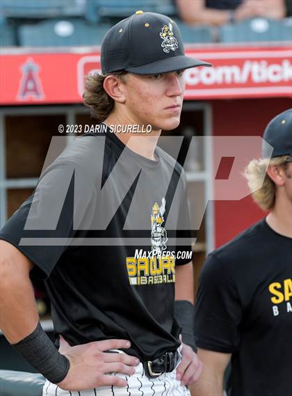 Thumbnail 1 in Saguaro vs. Canyon del Oro (AIA 4A Final)  photogallery.