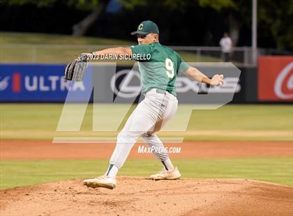 Thumbnail 3 in Saguaro vs. Canyon del Oro (AIA 4A Final)  photogallery.