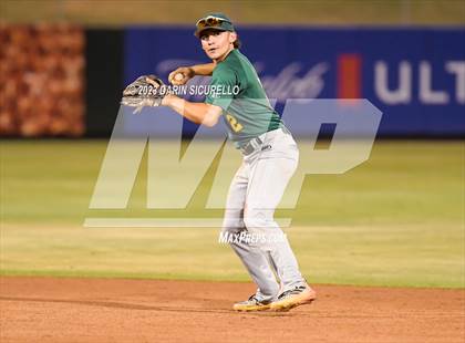 Thumbnail 2 in Saguaro vs. Canyon del Oro (AIA 4A Final)  photogallery.