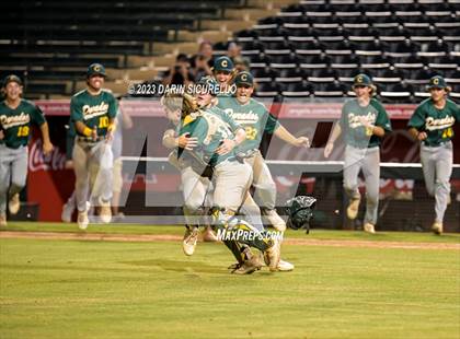 Thumbnail 2 in Saguaro vs. Canyon del Oro (AIA 4A Final)  photogallery.