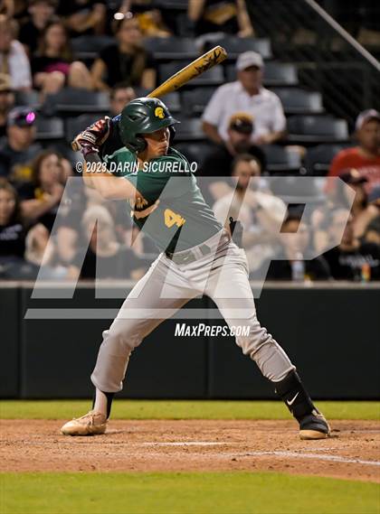 Thumbnail 2 in Saguaro vs. Canyon del Oro (AIA 4A Final)  photogallery.