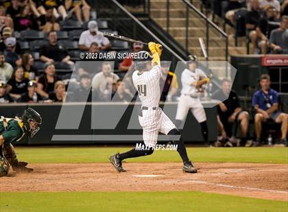 Thumbnail 1 in Saguaro vs. Canyon del Oro (AIA 4A Final)  photogallery.