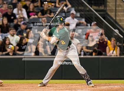 Thumbnail 3 in Saguaro vs. Canyon del Oro (AIA 4A Final)  photogallery.