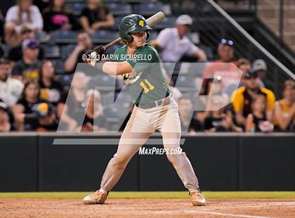 Thumbnail 1 in Saguaro vs. Canyon del Oro (AIA 4A Final)  photogallery.