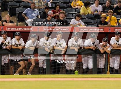 Thumbnail 1 in Saguaro vs. Canyon del Oro (AIA 4A Final)  photogallery.