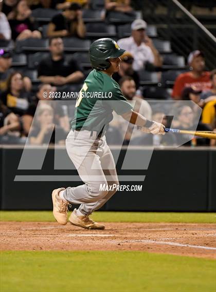 Thumbnail 1 in Saguaro vs. Canyon del Oro (AIA 4A Final)  photogallery.