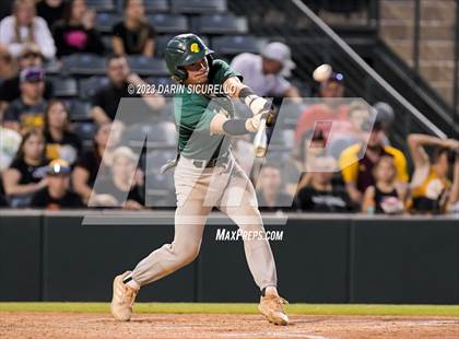 Thumbnail 2 in Saguaro vs. Canyon del Oro (AIA 4A Final)  photogallery.