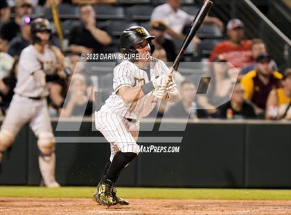 Thumbnail 1 in Saguaro vs. Canyon del Oro (AIA 4A Final)  photogallery.