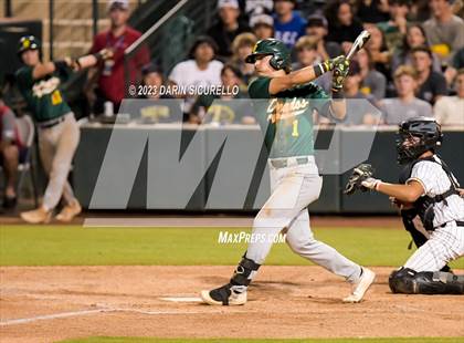 Thumbnail 1 in Saguaro vs. Canyon del Oro (AIA 4A Final)  photogallery.
