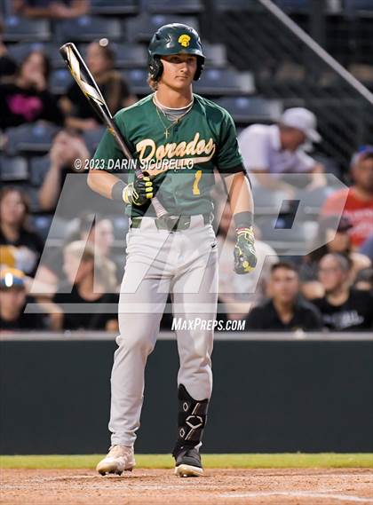 Thumbnail 1 in Saguaro vs. Canyon del Oro (AIA 4A Final)  photogallery.