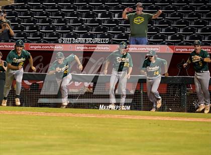 Thumbnail 1 in Saguaro vs. Canyon del Oro (AIA 4A Final)  photogallery.