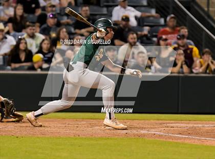 Thumbnail 1 in Saguaro vs. Canyon del Oro (AIA 4A Final)  photogallery.