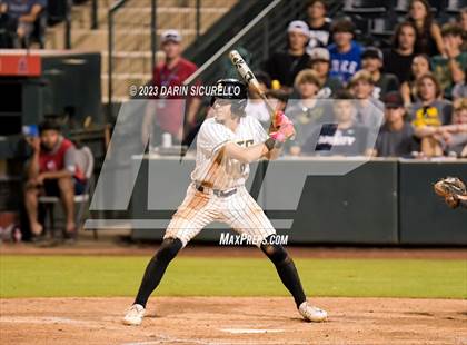 Thumbnail 3 in Saguaro vs. Canyon del Oro (AIA 4A Final)  photogallery.