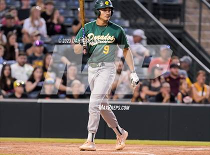 Thumbnail 3 in Saguaro vs. Canyon del Oro (AIA 4A Final)  photogallery.