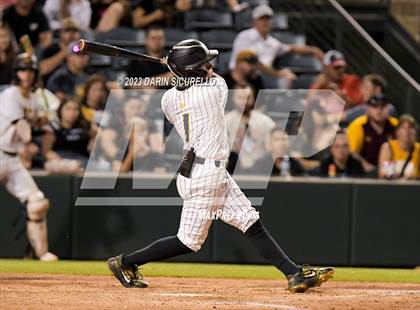 Thumbnail 2 in Saguaro vs. Canyon del Oro (AIA 4A Final)  photogallery.