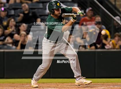 Thumbnail 1 in Saguaro vs. Canyon del Oro (AIA 4A Final)  photogallery.