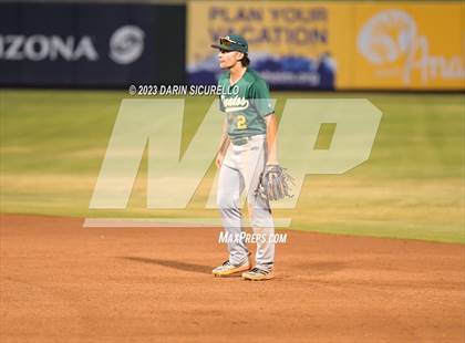 Thumbnail 1 in Saguaro vs. Canyon del Oro (AIA 4A Final)  photogallery.